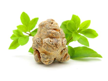 三七粉哪個(gè)牌子好？