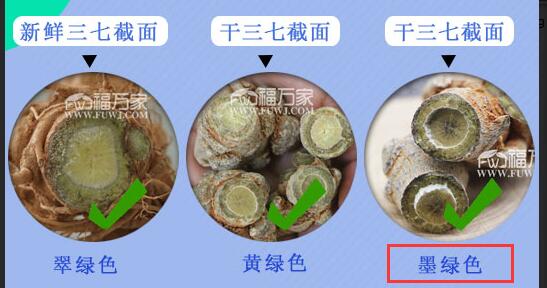 什么樣三七好？