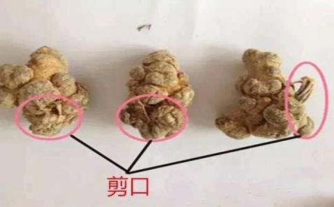 不帶剪口三七好